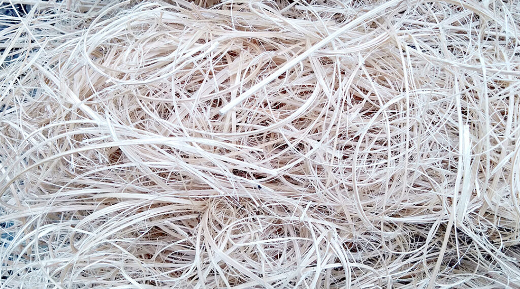 Bamboo fibres