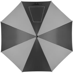 Segment 4