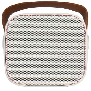 speaker grill