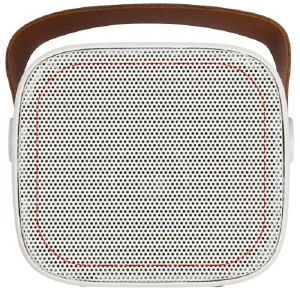 speaker grill