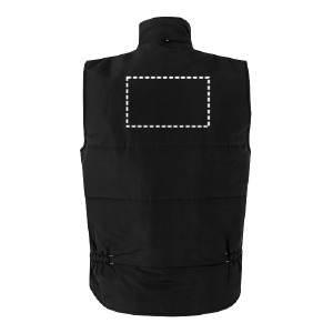 Back