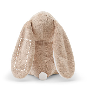 Ear 1