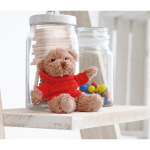 Branded teddy bear with printable hooded jacket for children red colour ambient view