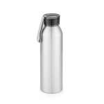 Leak-proof aluminium bottle, silicone handle, 660ml matt silver colour