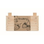 Small strawberry growing kit with box and soil for home use wood colour sixth view