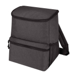 Insulated backpack for excursions with multiple pockets