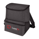 Insulated backpack for excursions with multiple pockets
