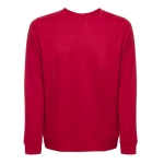 Unisex plush cotton sweatshirt, 240 g/m2, THC Colombo red colour first view