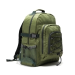 Polyester cooler backpack with multiple compartments green colour