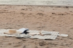 Large striped picnic blanket in fleece, 150 × 200 cm light brown colour