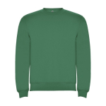 Unisex cotton and polyester jersey sweater, 280 g/m², Roly green colour