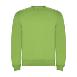 Unisex cotton and polyester jersey sweater, 280 g/m², Roly lime colour