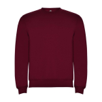 Children’s cotton and polyester jersey sweater, 280 g/m², Roly burgundy colour
