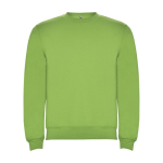 Children’s cotton and polyester jersey sweater, 280 g/m², Roly lime colour