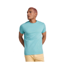 Men’s 100% cotton jersey printed t-shirt, 190 g/m², Roly grey colour lifestyle image