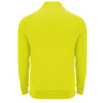 Promotional polyester half-zip sports sweater, 200 g/m², Roly second rear view