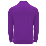 Promotional polyester half-zip sports sweater, 200 g/m², Roly second rear view