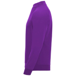 Promotional polyester half-zip sports sweater, 200 g/m², Roly side view