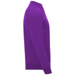 Promotional polyester half-zip sports sweater, 200 g/m², Roly second side view