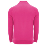 Promotional polyester half-zip sports sweater, 200 g/m², Roly second rear view