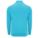 Promotional polyester half-zip sports sweater, 200 g/m², Roly second rear view
