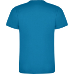 Men's cotton short-sleeved t-shirt, 165 g/m², Roly