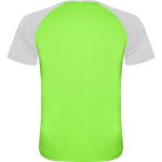 Unisex short-sleeve sports polyester t-shirt 140 g/m², Roly neon green colour