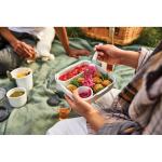 Lunchbox with interior containers and fork, 1 L