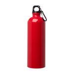 Recycled stainless steel bottle, carabiner, 750ml red colour