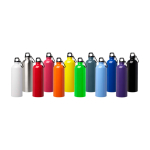 Recycled stainless steel bottle, carabiner, 750ml white colour
