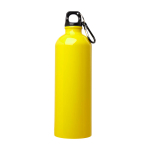 Recycled stainless steel bottle, carabiner, 750ml yellow colour