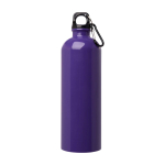 Recycled stainless steel bottle, carabiner, 750ml purple colour