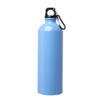 Recycled stainless steel bottle, carabiner, 750ml pastel blue colour