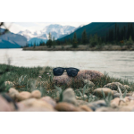 Eco polarised sunglasses with UV400 protection black colour