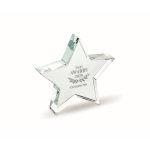 Branded star-shaped glass trophy transparent colour main view