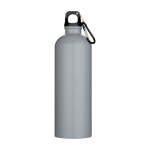 Recycled stainless steel bottle, matte finish, carabiner, 750ml grey colour