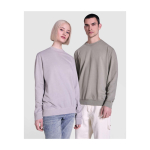 Unisex crew neck jumper, cotton, 250 g/m2, Roly Jaya grey colour