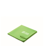  lime colour view with print area