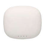 Bluetooth 6.0 earphones with charging case and Type-C cable white colour second front view