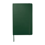 Moleskine large-format notebook with elastic closure, ruled pages green colour second front view
