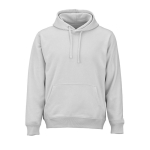 Unisex organic cotton hoodie 300 g/m² light grey colour front view