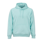 Unisex organic cotton hoodie 300 g/m² light-green colour front view