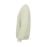 Unisex organic cotton brushed fleece sweatshirt 300g/m² Waikiki pastel green colour third view