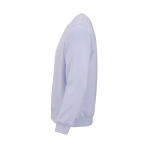 Unisex organic cotton brushed fleece sweatshirt 300g/m² Waikiki pastel blue colour third view