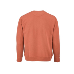 Unisex organic cotton sweatshirt with French terry 300 g/m² Capri orange colour rear view