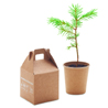 Eco-friendly gifts