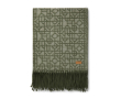 Geometric patterned throw with fringes, 130 × 170 cm colour green