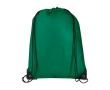 Durable, tear-resistant non-woven drawstring backpack, 5L colour green