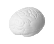 Stress ball in the shape of a brain colour white