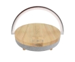 Prixton 4-in-1 10W speaker with LED light and wireless charging base colour wood